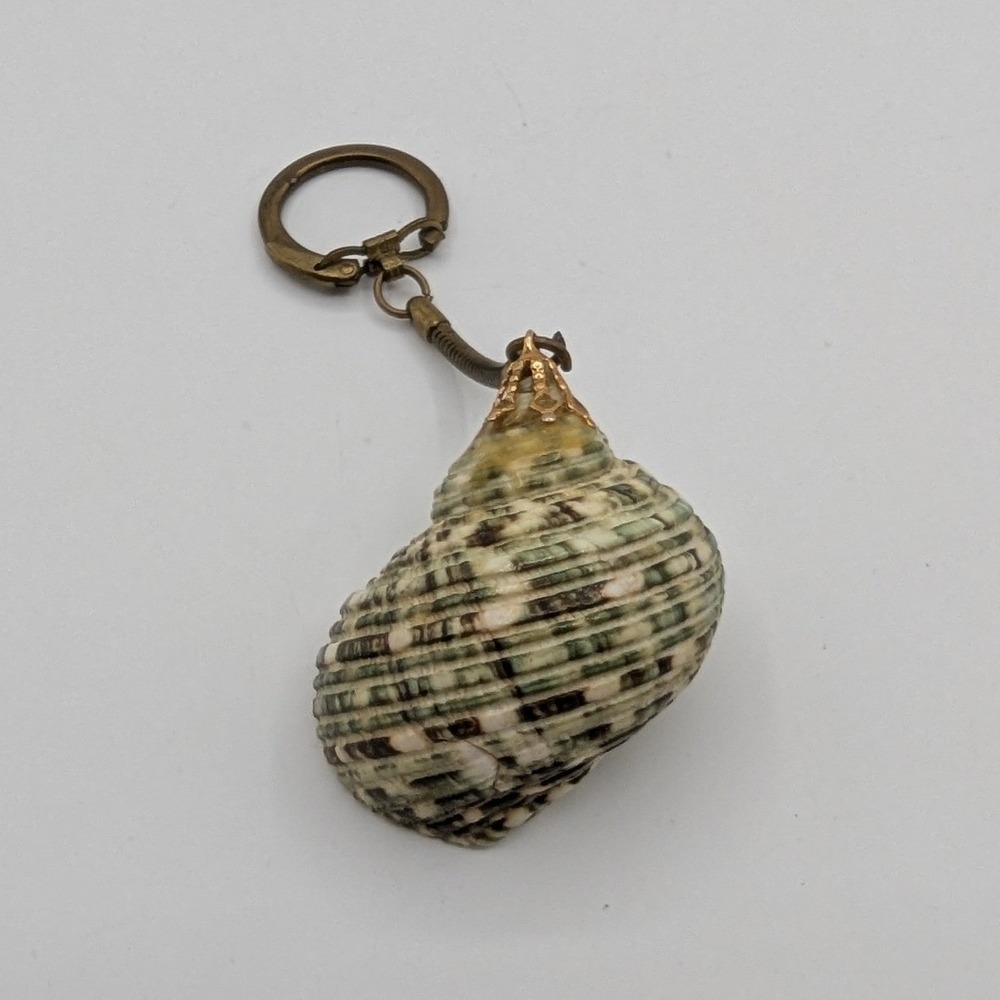 Vintage Natural Green Turbo Sea Shell Keychain Brass Chain Hong Kong Souvenir